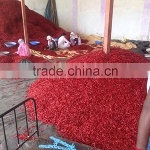 DRIED CHILLI thumbnail-3