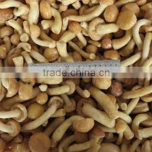 Frozen Mushroom Nameko thumbnail-1