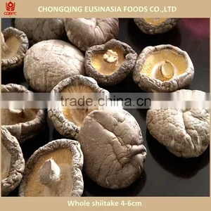 Whole Dried Shiitake Mushroom 1kg 4-6cm thumbnail-1