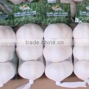 YUYUAN Brand Hot Sail Fresh Garlic Dehydrated Garlic Price thumbnail-3