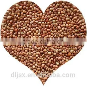 JSX Fair Trade Black Eye Beans and Brown Eye Beans Types of Export Cowpea Bean thumbnail-2