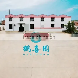 Factory Offer Soya Lecithin Shrimp and Fish Feed Additives thumbnail-3
