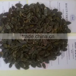 GWS Pumpkin Kernels A, AA, AAA Factory thumbnail-1