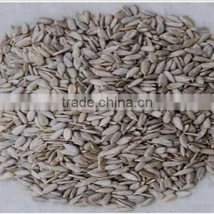 Organic Bulk Sunflower Kernels Big Size Facotry Sell to Buyers thumbnail-4