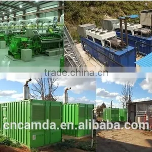 Camda Lpg Generator/Gas Generator 24kw/Power Plant thumbnail-2