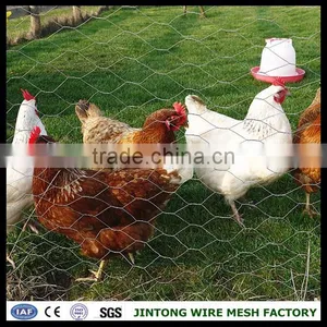 Hexagonal Chicken Wire Mesh Chicken Wire Fencing Panels Wire Mesh for Chicken Coop thumbnail-1
