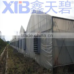 Plastic Film Greenhouse for Tomatoes for Sale thumbnail-1