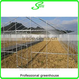 Durable Galvanized Steel Frame Greenhouse Agricultural Greenhouse thumbnail-1