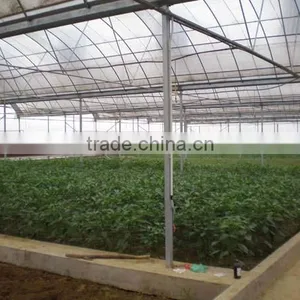 Professional Multi-Span Pvc Covered Greenhouse For Agricultural Planting thumbnail-6