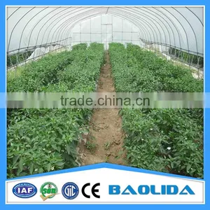 Tunnel Greenhouse for Agriculture thumbnail-5