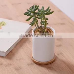 Indoor Small White Glazed Ceramic Teacup Planter Pot With Bamboo Tray thumbnail-2