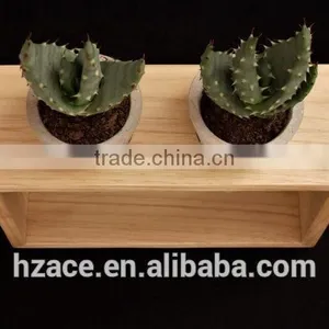 Concrete Mini Planters in Wooden Frame thumbnail-2