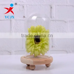Clear Deco Glass Domes With Triangular Wood Base thumbnail-1