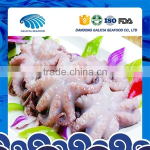 Cheaper Frozen High Grade Baby Octopus With Better Services thumbnail-1