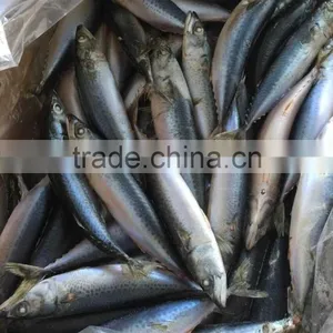 2016 Landing Sea Frozen Mackerel 150-200g thumbnail-1