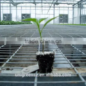 Horticultural Greenhouse Seedbed Seed Bench for Roses thumbnail-2