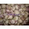 Normal White Garlic 5.0-6.0cm thumbnail-1