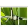 Barbed Fence Wire thumbnail-1