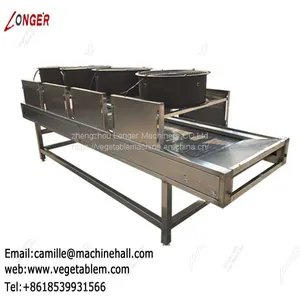 Tomato Washer and Dryer|Fruit and Vegetable Washing and Drying Machine|Strawberry Cleaning Line thumbnail-3