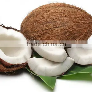 Best Price Fresh Coconut for Export From Vietnam/ Fresh Young Coconut thumbnail-3