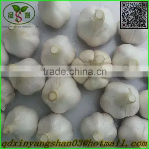 Chinese Normal White Garlic/4 to 6 Petal Cangshan Garlic thumbnail-1