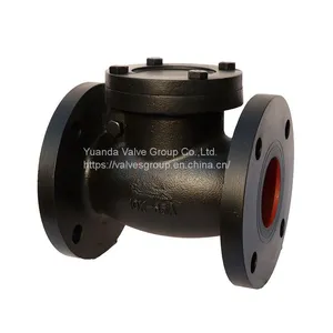 KS 10K Cast Iron Swing Check Valve Cast Iron Check Valve Check Valve Manufacture China Cast Iron Check Valve Supplier thumbnail-1