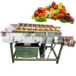 Dry Dates Drum Vegetable Washing Dried Fruit Cleaning Machine thumbnail-1
