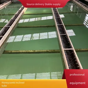 Customized Construction of Hexagonal Honeycomb Inclined Tubes, pp Fillers for Sedimentation Tanks and Biological Filters thumbnail-4