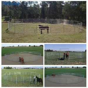 USA Hot Selling 12ft Metal Galvanized Corral Fence Panel Livestock Round Pen Farm Cattle Panels thumbnail-4
