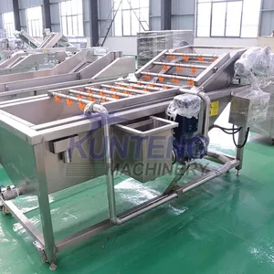 Automatic Melon Raisins Potatoes Bitter Leaf Vegetable Squash Peanut Washing Drying Machine Fruit Vegetable Cleaning Machine EPC thumbnail-4