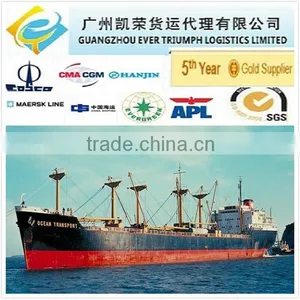 Sea Freight DDU Shipping Service From China to Padang thumbnail-1