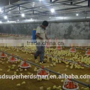 Chicken Poultry Farm Equipment thumbnail-2