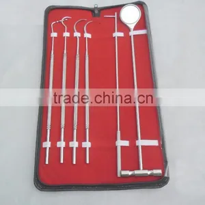 6 Pcs Equine Dental Pick Probe Scalers Veterinary/Animal Tools/VETERINARY INSTRUMENTS thumbnail-1