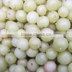 IQF Frozen Gooseberry With Good Quality and Hot Price thumbnail-1