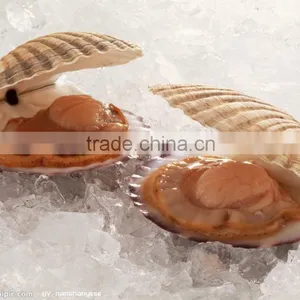 High Quality Fresh Keeping Plate Ice Machine thumbnail-3