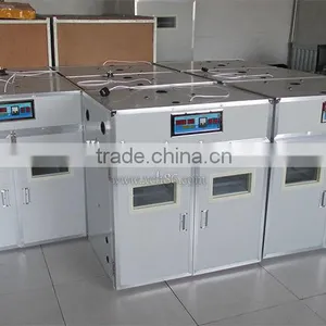 Solar Chicken Egg Incubator With 5 Years Warranty thumbnail-3