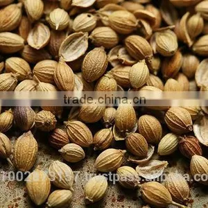 Coriander Seeds thumbnail-1
