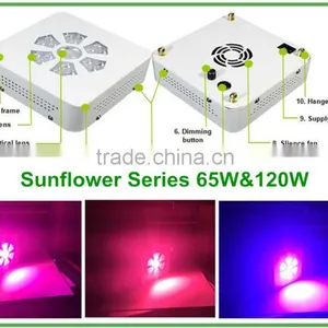 China Factory Outdoor Lighting Flood Light Spotlight 85lm/w With CE ROSH SAA UL Approval thumbnail-2