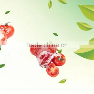 Made in China Ketchup Export Saudi Arabia Canned Tomato Sauce 70g 198g Tomato Paste thumbnail-5