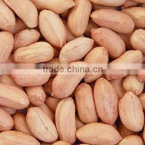 Java Peanuts Exporters thumbnail-1
