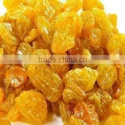 Raisins thumbnail-3