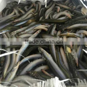 Frozen Sand Lance thumbnail-1