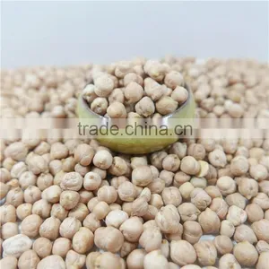 Best Quality Chickpea Market Price HPS White Chick Pea Beans thumbnail-4
