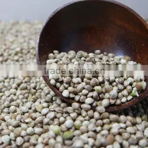 Hemp Seeds 2016 Crop thumbnail-2