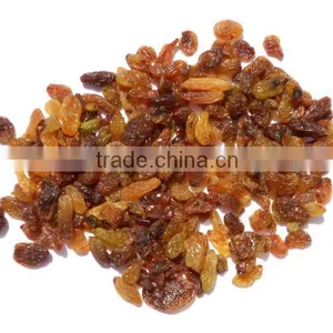 Dried Raisins thumbnail-1