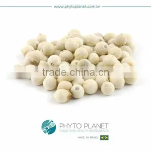 WHITE PEPPER thumbnail-1