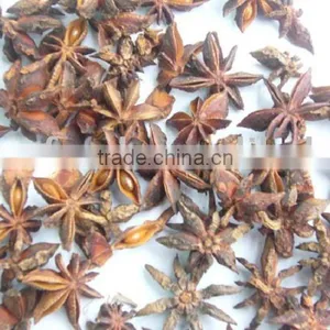Star Aniseeds Stemless thumbnail-1
