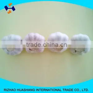 Red Fresh Garlic Size4.0cm thumbnail-5