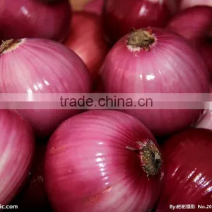 FX-128-3A Full Automatic Onion Skin Removal Machine(Whatsapp:+0086-15123231520) thumbnail-6