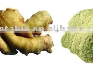 Dehydrated Ginger Powder thumbnail-1